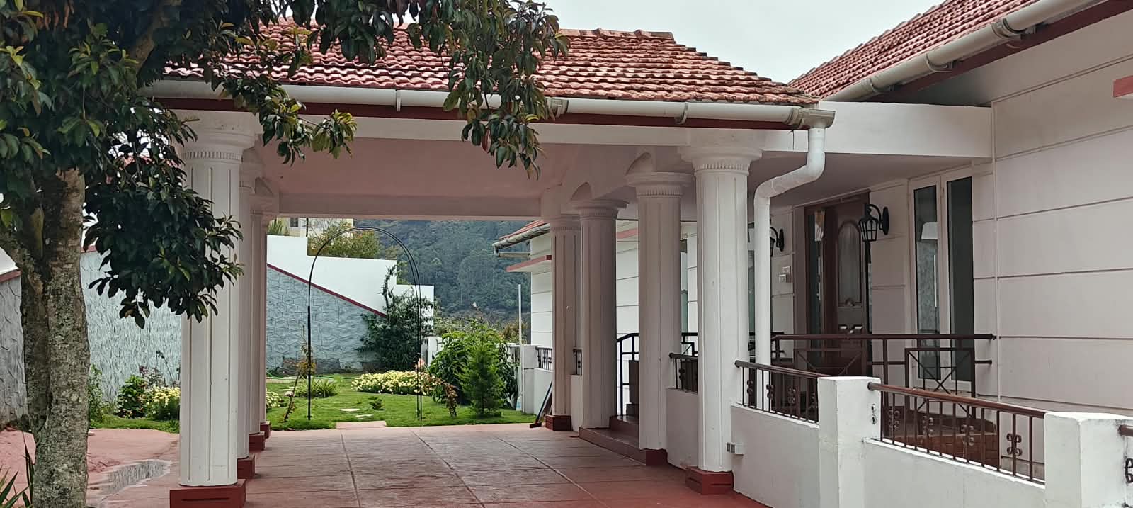 The house on Elk Hill with the tea gardens falling away to the south, early light