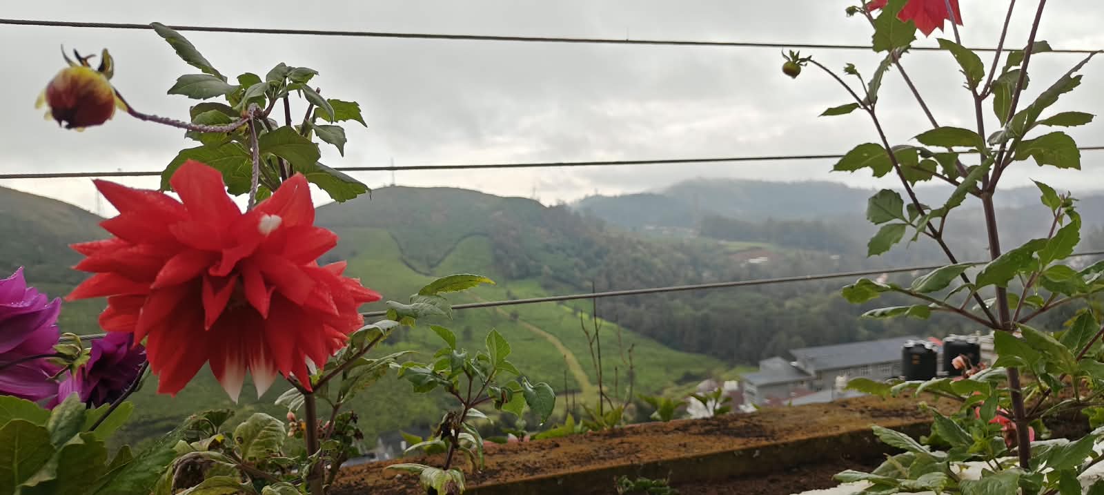 Villa Verde, Elk Hill (photo 8)