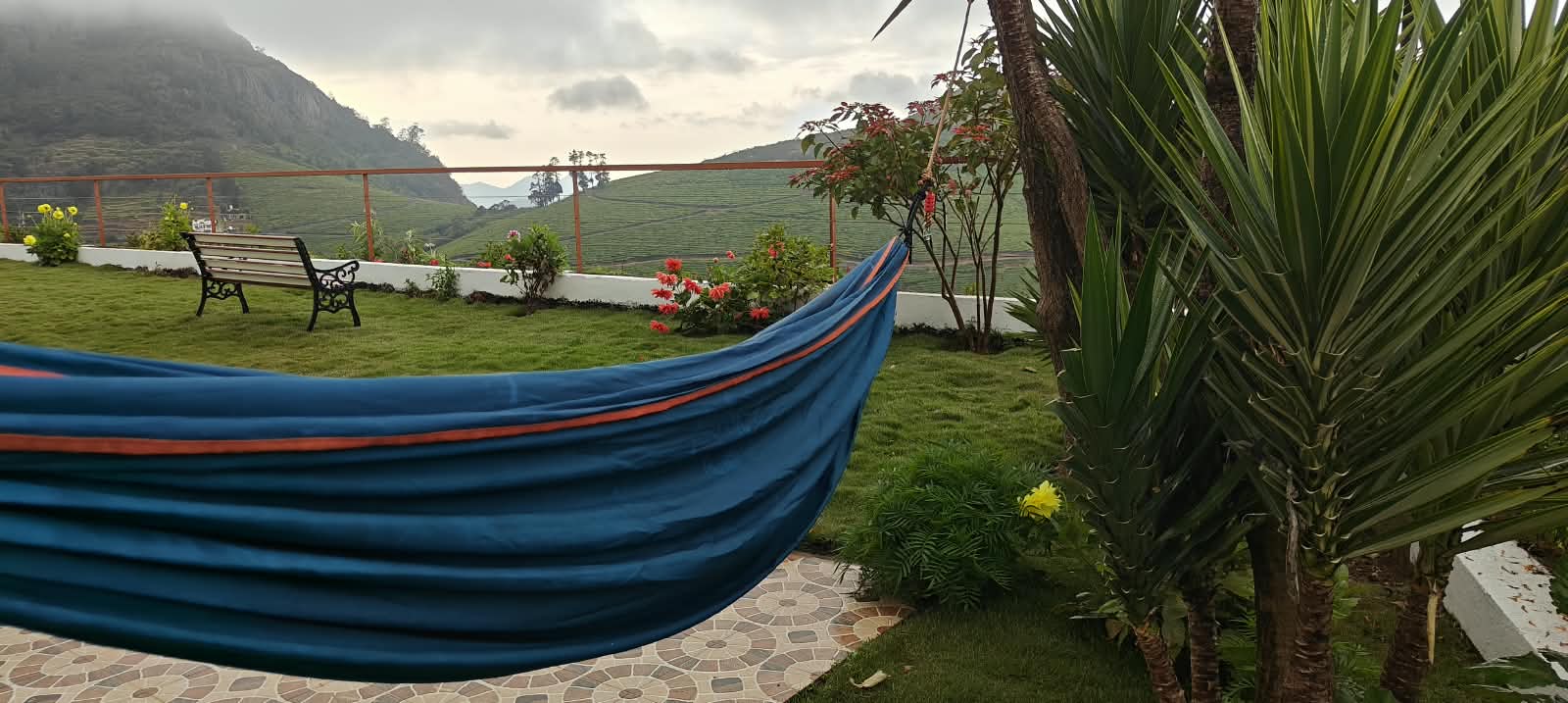 A hammock strung up on the lawn, an easy spot to spend an afternoon