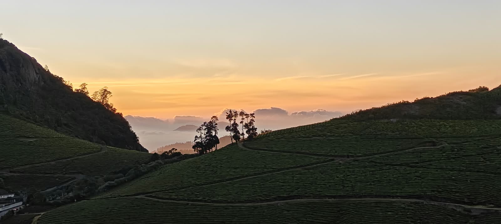 Sunrise over the tea garden hills, seen from the property