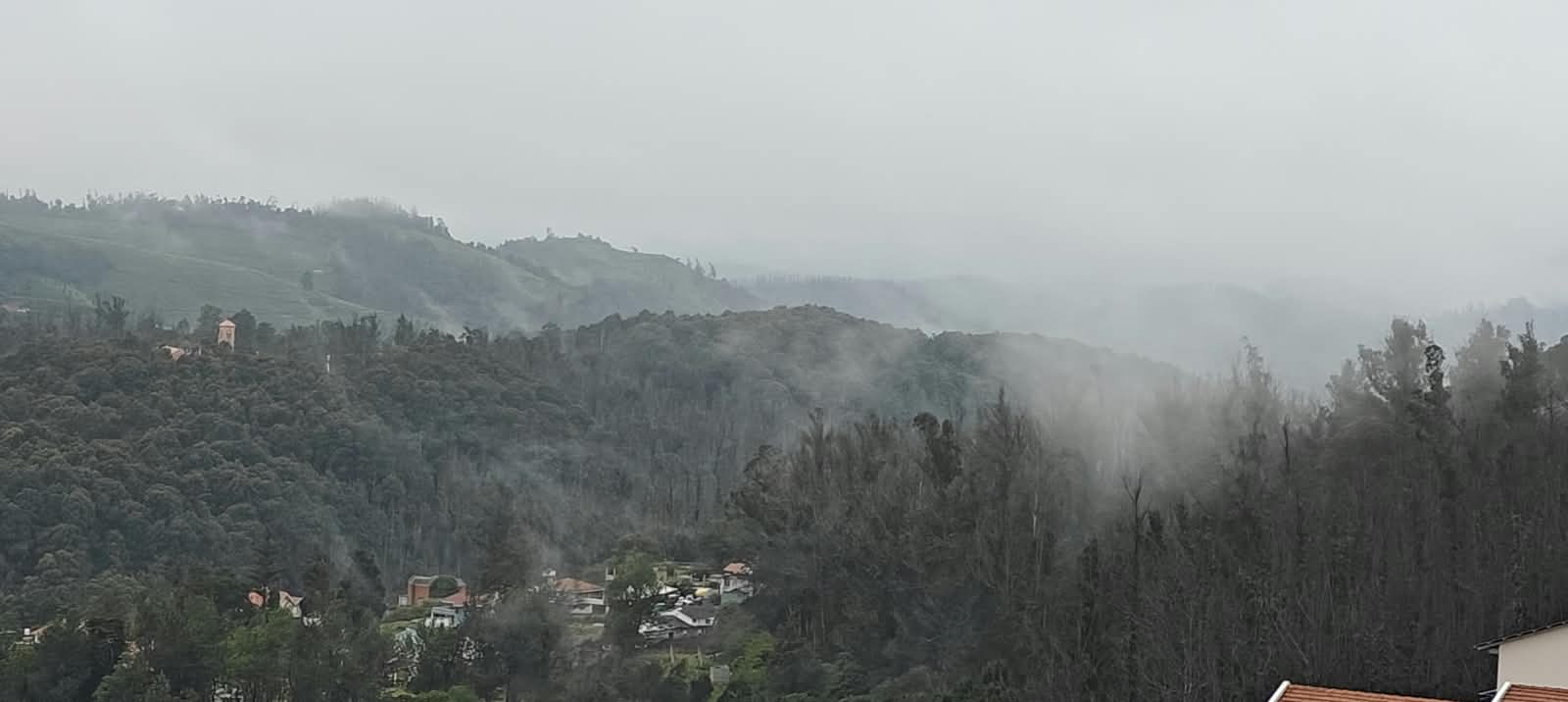 Mist moving over the tea garden hills, seen from the property in the early morning